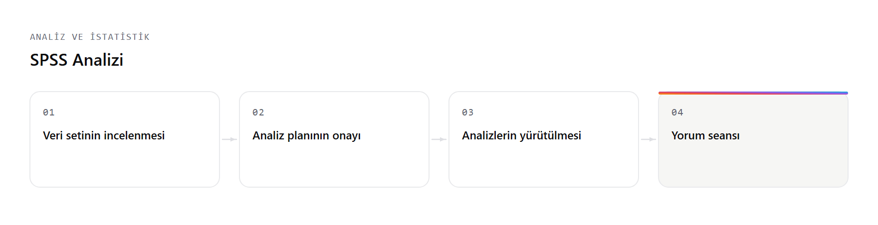 SPSS Analizi hizmetinin çalışma akışı: Veri setinin incelenmesi, Analiz planının onayı, Analizlerin yürütülmesi, Yorum seansı adımları.